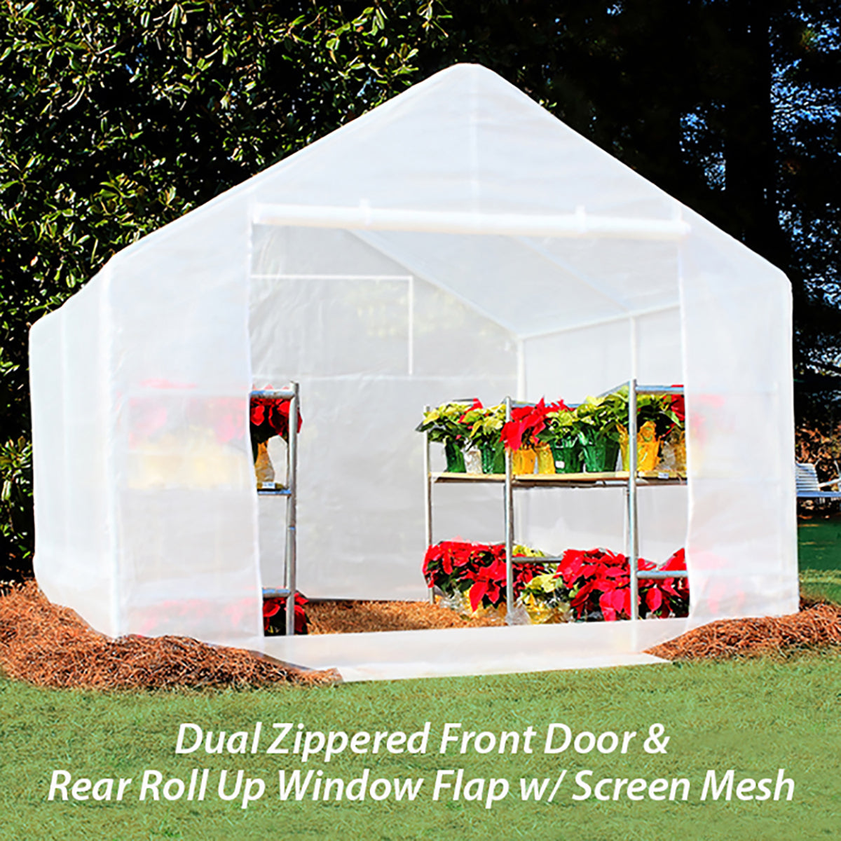 10 ft x 10 ft Greenhouse Kit