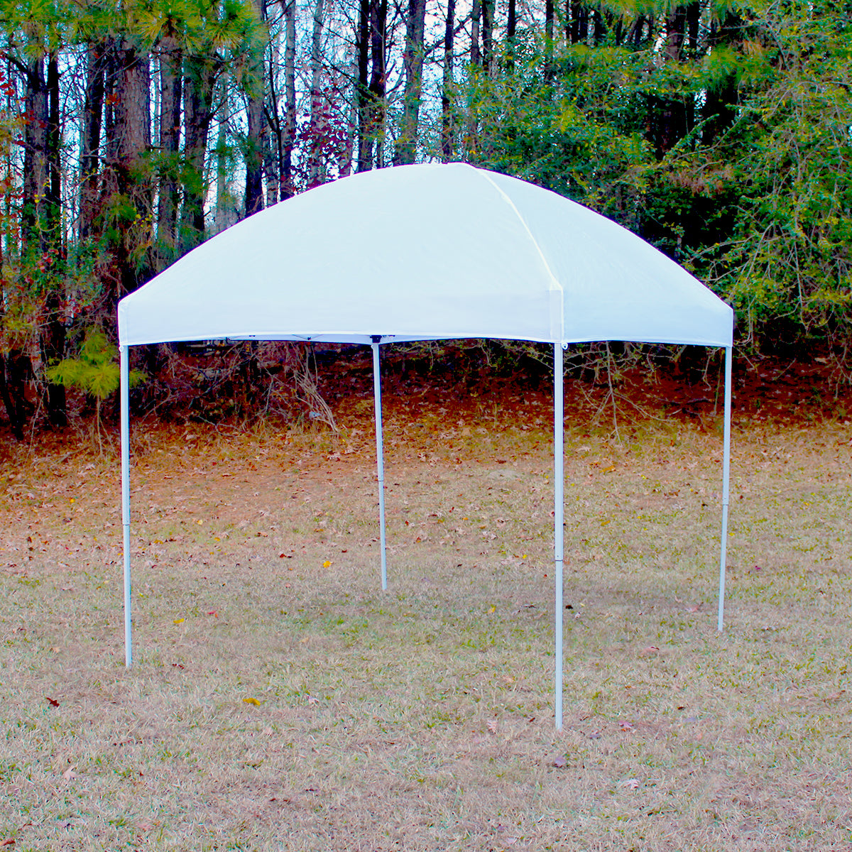 Easyshut 8x8 Instant Pop Up Tent, Bundle w/ Stakes & Weight Bags