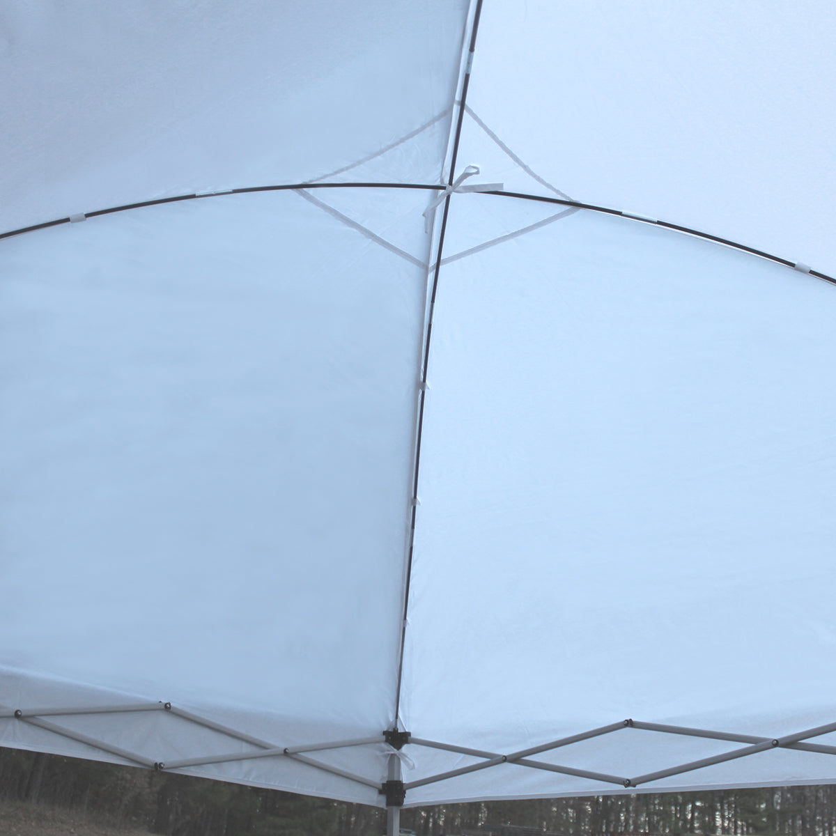 Easyshut 8x8 Instant Pop Up Tent, Bundle w/ Stakes & Weight Bags