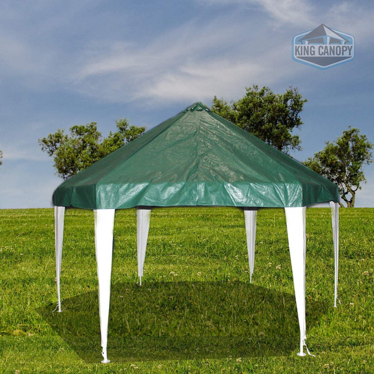 Hexagon Canopy 13 ft X 13 ft